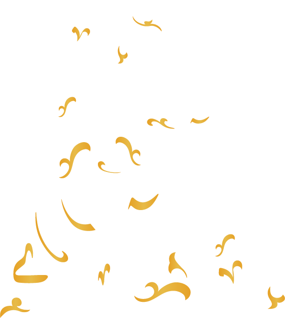 Areej